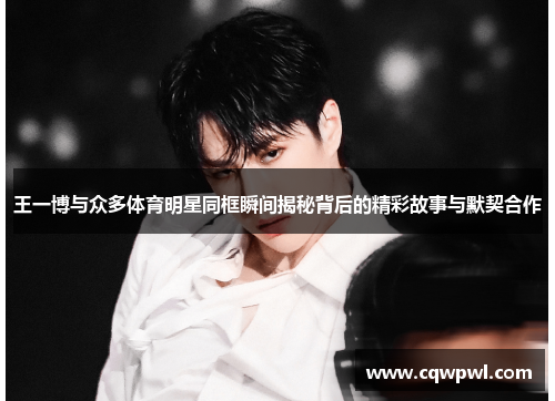 王一博与众多体育明星同框瞬间揭秘背后的精彩故事与默契合作